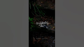 ﴿يا عِبادِي لا خَوْفٌ عَلَيْكُم اليَوْمَ ولا أنْتُمْ تَحْزَنُونَ﴾ | محمد صديق المنشاوي | سورة الزخرف