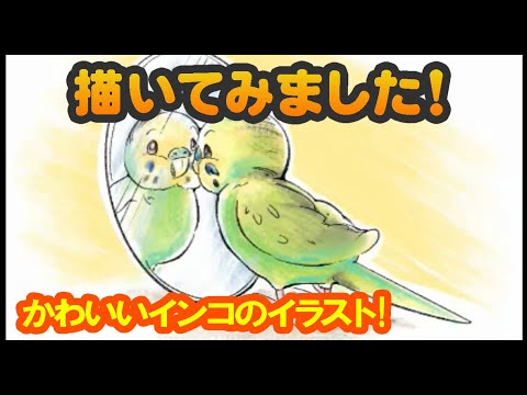 メイキング かわいいセキセイインコのイラストを描いてみた ぷうまん Youtube