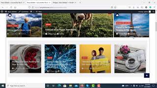 News Bulletin Free WordPress Theme Demo Import Manually