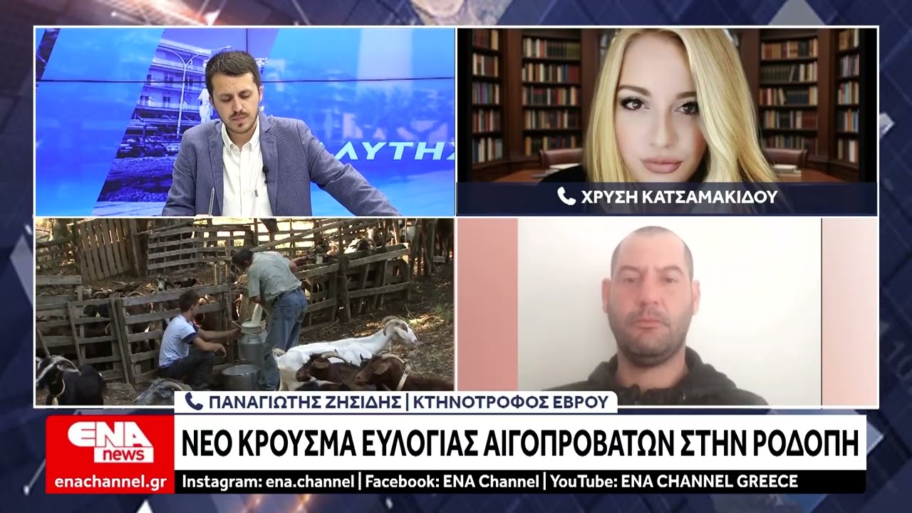 Νέο κρούσμα ευλογιάς αιγοπροβάτων στην Π.Ε Ροδόπης