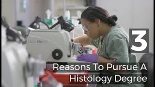 3 Reasons To Pursue A Histology Degree