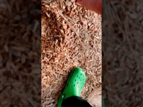 Goodbye 2024 Hello 2025 