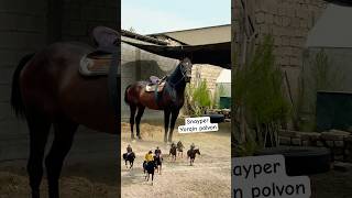 #horse #rek #uzbekistan