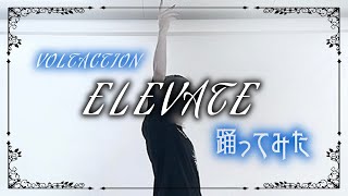 ELEVATE 踊ってみた【VOLTACTION】