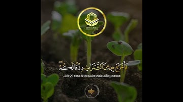 سعد الغامدي - سورة البقرة ( تەفسیرا بادینی )