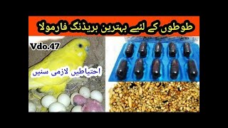 How to make fellows budgies breeding formula