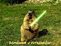 Dj Szalony Świstak-Everlasting Love (Comp.M.Cretu RMX2025 by Artur Rozwandowicz)
