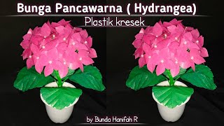 Cara Membuat Bunga Panca Warna dari Plastik kresek ll Making Hydragea flowers with Plastic Recycles