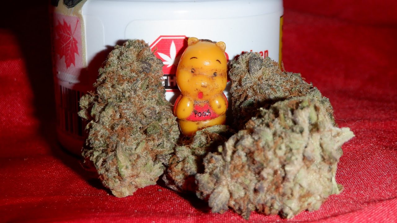 Strain Review Stonewall (Mimoza) By Citizen Stash