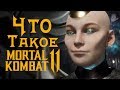 Что такое Mortal Kombat 11? (Часть 1)
