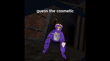 lol. #gorillatag #oculusgo #oculusquest #roblox #oculus #virtualrealityheadset #oculusvr #vrheadset