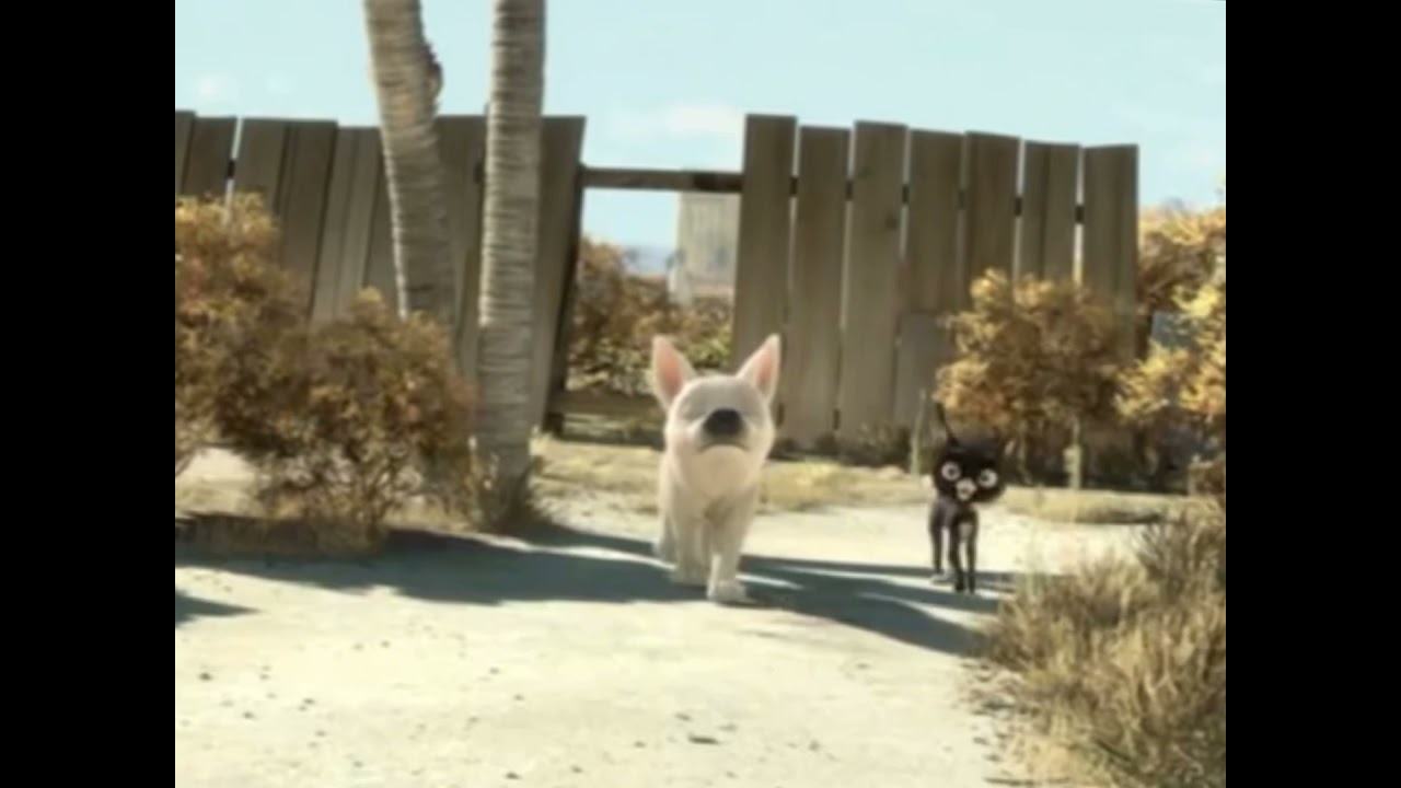 Sad Edit Bolt dog⚡️