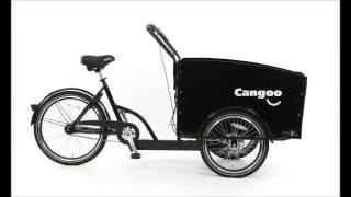 Zwd Cangoo Bike
