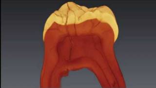 The Mysterious Hominids From The Denisova Cave