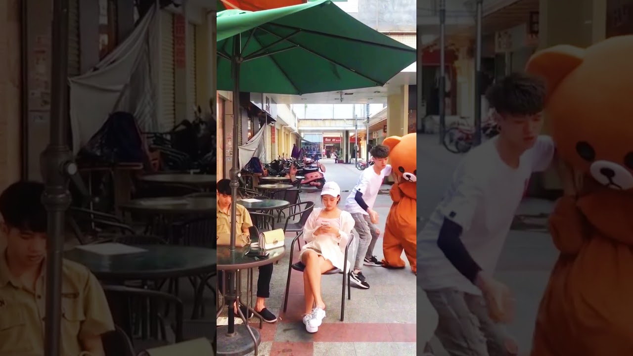 Brown bear trolling a Girl Funny compilation