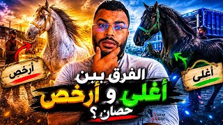 Download lagu ‼️الفرق ببن أغـلى حصان عندي فالمزرعة 🔝💰 وأرخص حصان ⬇️ وهذوا هما الأسباب ✅..