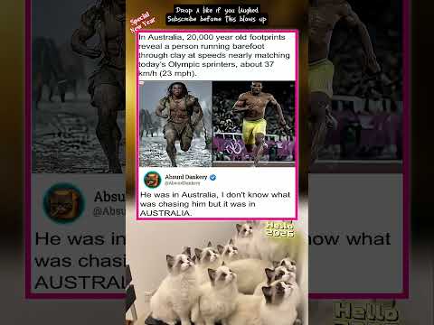 The Amazon Driver Understood The Assignment #AbsurdDankery #Relatable #Funny #Memes