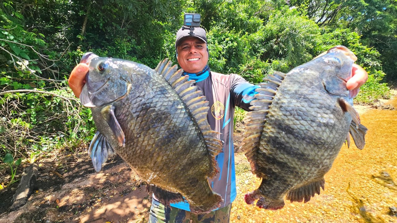 SÓ TILÁPIAS BRUTAS, foi meio dia de Serviço e ja fomos embora cê ta doidooooo!!!!