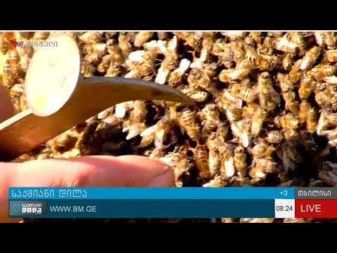 Enpard-ის დაფინანსებული კოოპერატივი \"ოცნება\"