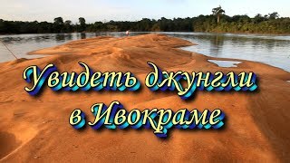 Увидеть джунгли в Ивокраме Увидеть джунгли в Ивокраме