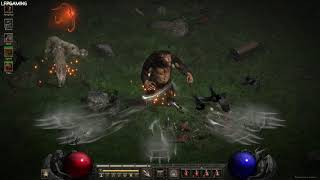 Diablo 2 Resurrected: All Druid Skills Showcase - D2R II