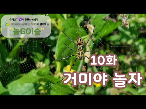 [Play GO! Forest] Episode 10: Let's Play, SpiderㅣForest PlayㅣForest ExperienceㅣPark PlayㅣNature E...