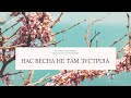 Тетяна Табаченко та Анастасія Холонівець "Нас весна не там зустріла" #волинь #славазсу #переможемо