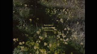 Heat Waves (Ambient Cover)