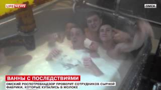 В Омске работники сырной фабрики купались в молоке В Омске работники сырной фабрики купались в молоке