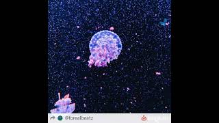 4Ras - Xeooln The Is Still