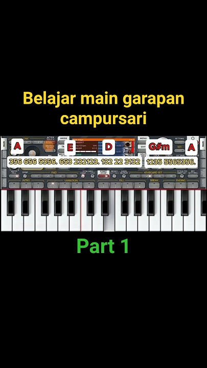 Rondo kempling part 1 #shortvideo #youtubeshorts #videoshort #setorggratis
