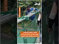 مشهد يخطف الأنفاس.. مغامر هندي يسقط في النهر أثناء الاستعراض أمام السياح