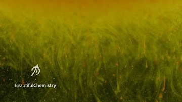 Still Harbours - The Map Visitor (Ambientologist x Beautiful Chemistry)