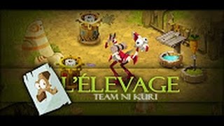 NoNameBot Elevage Dofus !