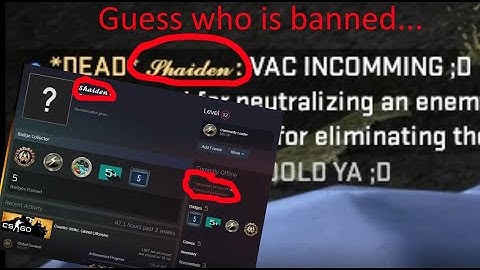 Bypassing CS GO trusted launch ft. My own paste.