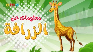 معلومات عن الزرافة للأطفال - Information about giraffe