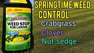 How to Kill Crabgrass and Clover in the Lawn  Springtime Weed Control
