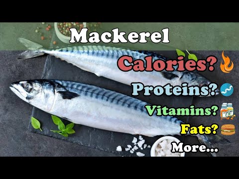 Video: Horse Mackerel - Useful Properties And Harm, Calorie Content, Nutritional Value, Vitamins