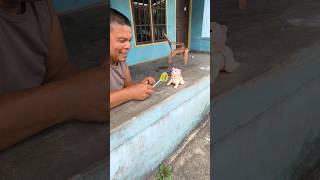 Download Lagu Mamneh #shorts #trending #funny #subscribe MP3