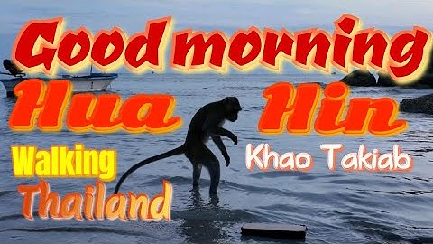 Morning walk in KHAO TAKIAB | HUA HIN #thailand | Drinking Coffee & Watching monkeys