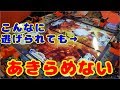 ビックリ「戻り！？」特集：あきらめないで最後まで巻くとたまにいいことが：攻略　釣りスピリッツ