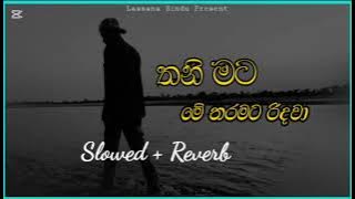 Thani Mata Me Tharamata Me Tharamata Ridawa | Sinhala Song | Slowed   Reverb