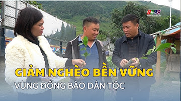 Giảm nghèo thực chất và bền vững vùng đồng bào dân tộc thiểu số | THLC