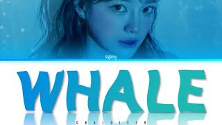 SEJEONG(세정) - 'WHALE' (Color Coded Lyrics Eng/Rom/Han/가사)