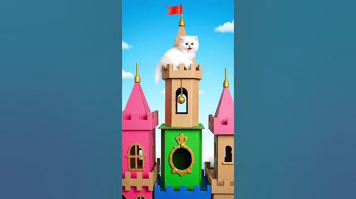 Video 11580541: white persian kitten, adorable cats