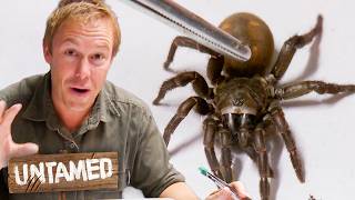 The Wild Life Of Tim Faulkner | Season 2 Marathon