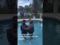 Detroit Lions safety Kerby Joseph got baptized 🙌