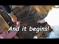Gardening in February | Carrots, Organizing Seeds & Starting Seeds Indoors