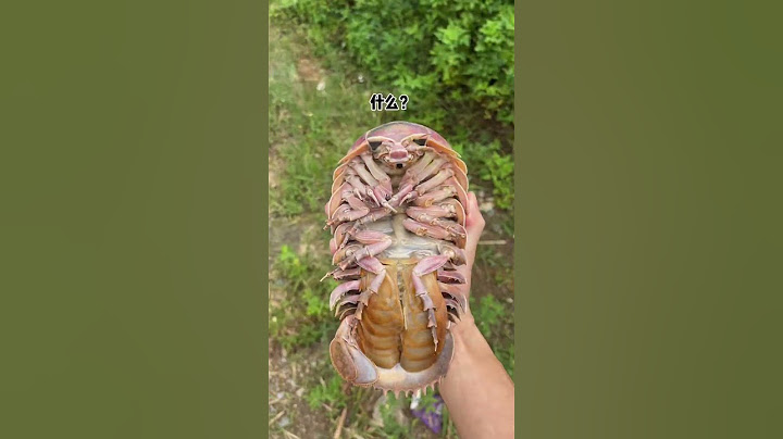 Is this a corpse turtle?|Chinese Mountain Forest Life And Food #MoTiktok #Fyp