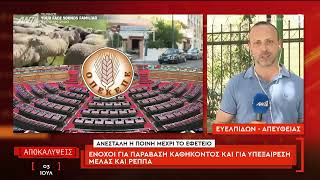 Σκάνδαλο ΟΠΕΚΕΠΕ : Ένοχοι για παράβαση καθήκοντος και υπεξαίρεση Μελάς και Ρέππα